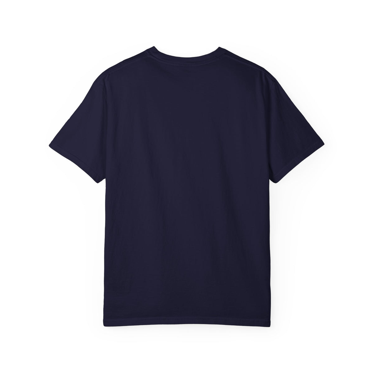 Court Club Pickleball T-Shirt — Vintage Paddle & Racket Graphic